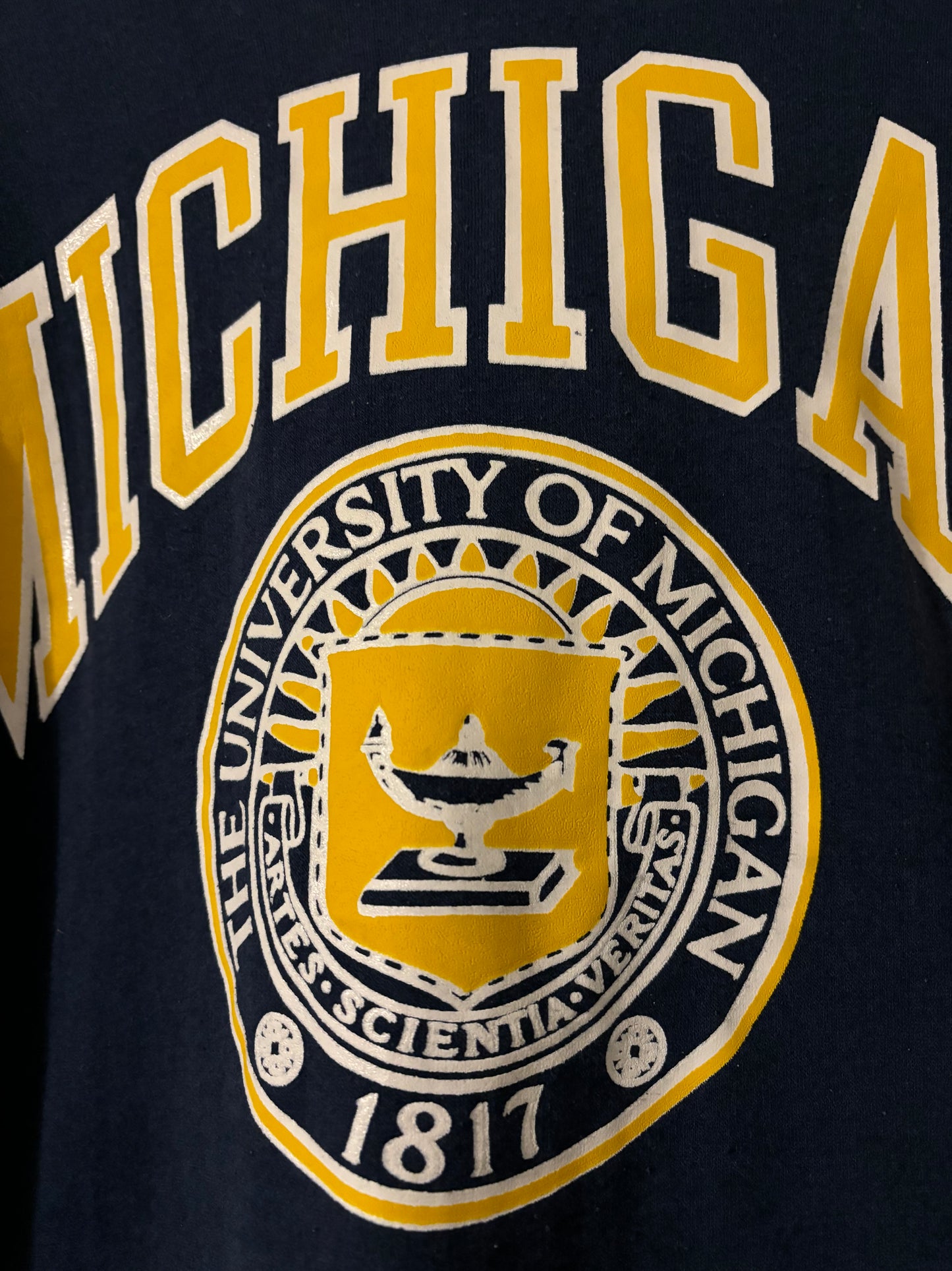 University of Michigan Crest Hoodie