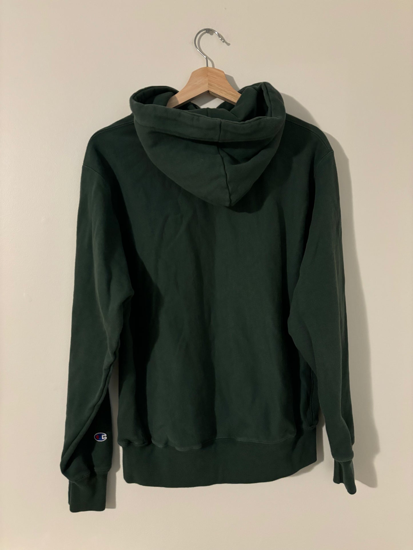 Reverse Weave Champion Hoodie