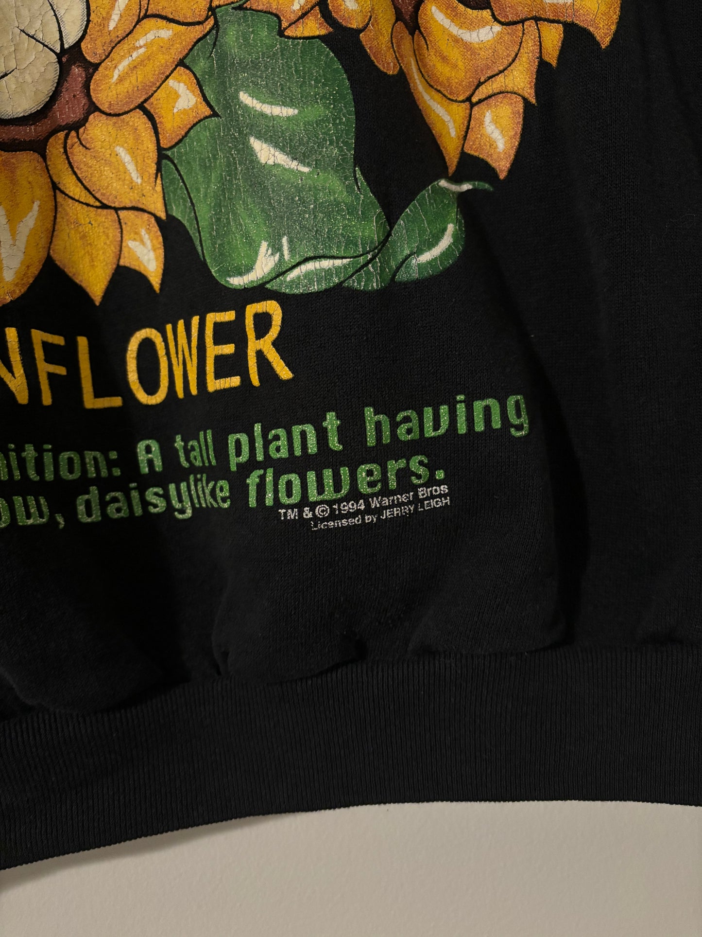 Vintage 1994 Sylvester Crewneck